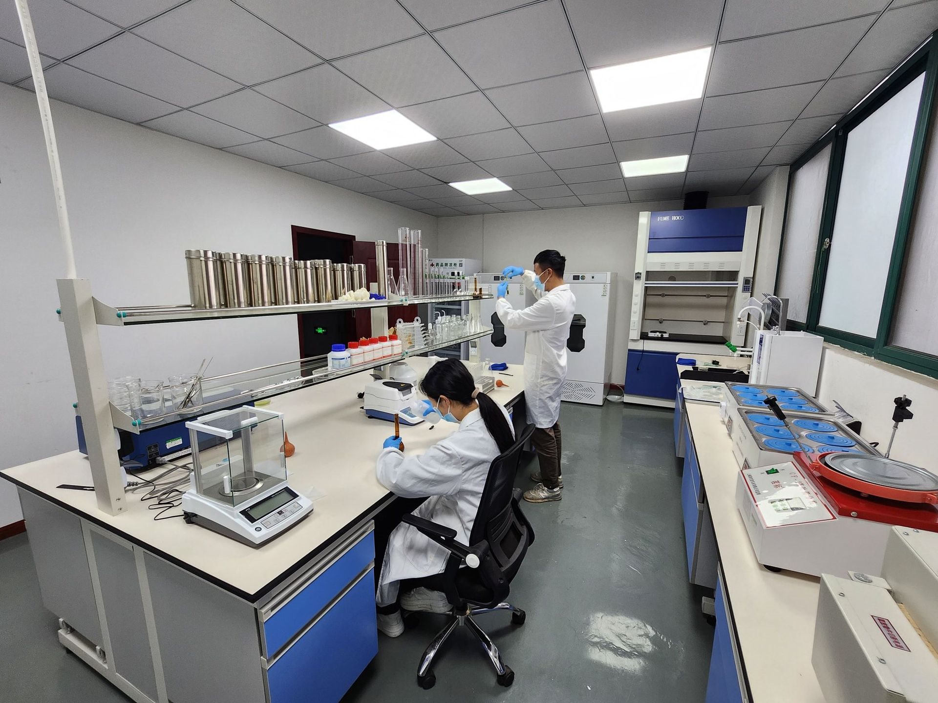 Laboratory team evaluating matcha samples
